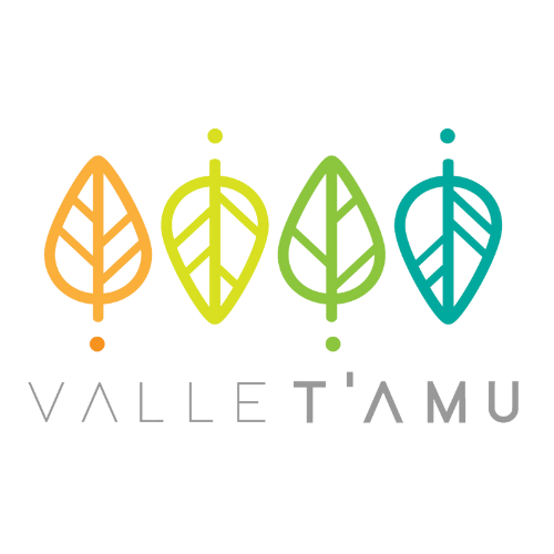 Valle Tamu